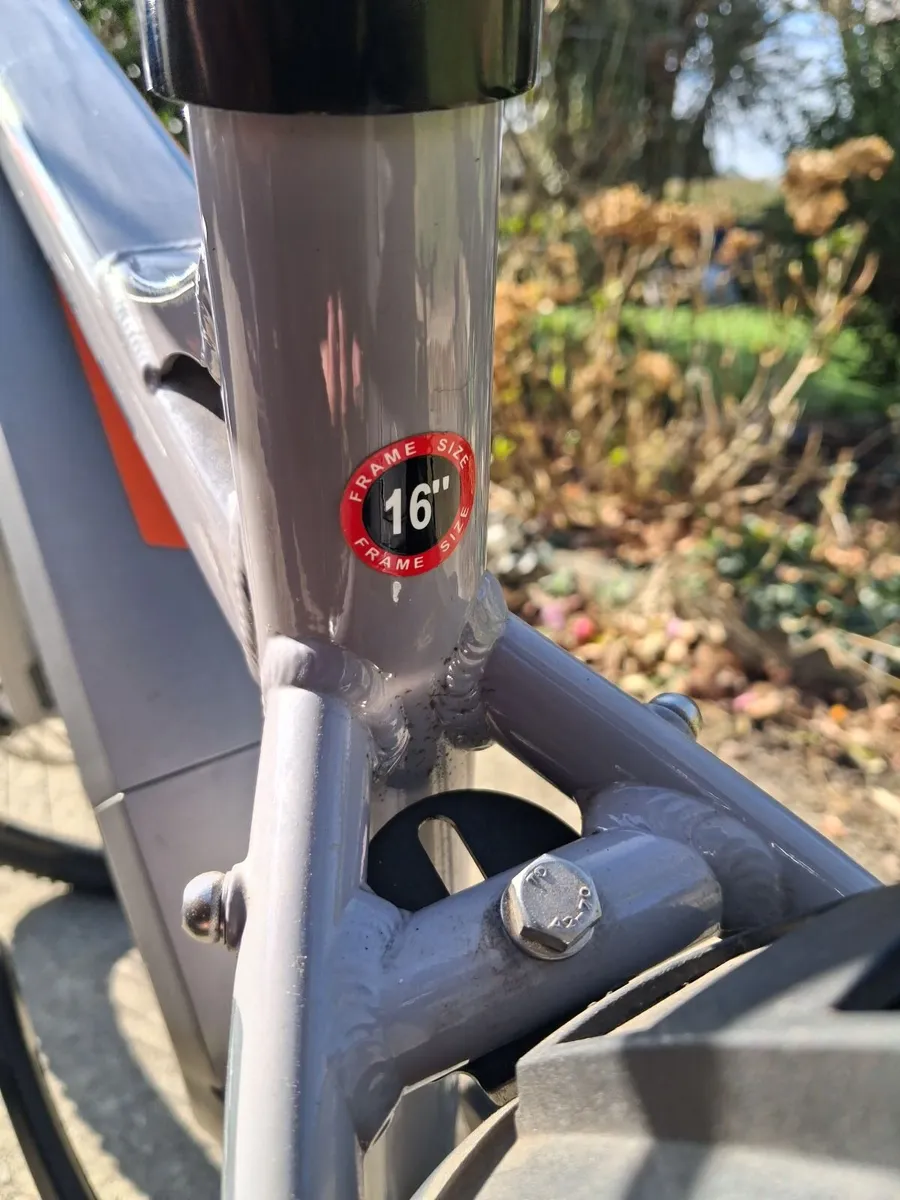 Electric bike - Image 2