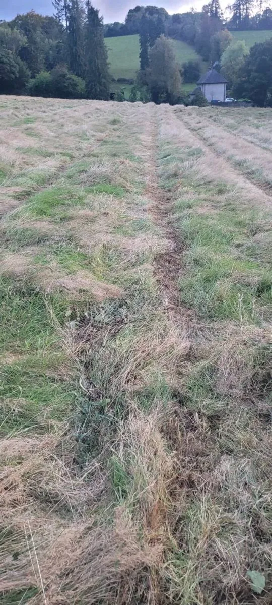 Silage - Image 1
