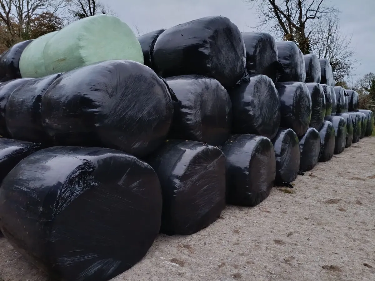 Silage bales - Image 1