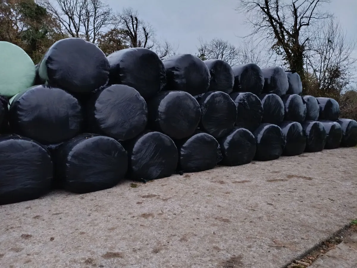 Silage bales - Image 2