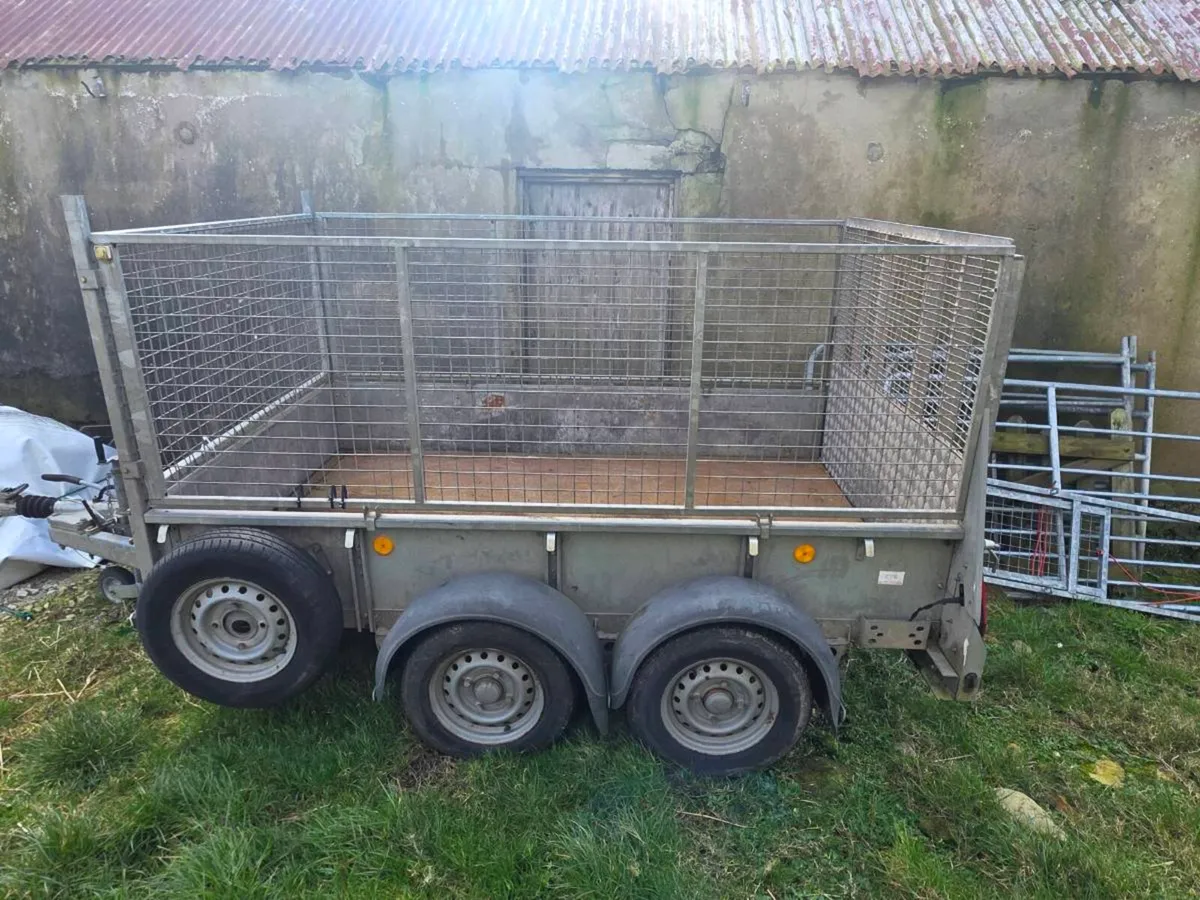 Ifor Williams Trailer - Image 1