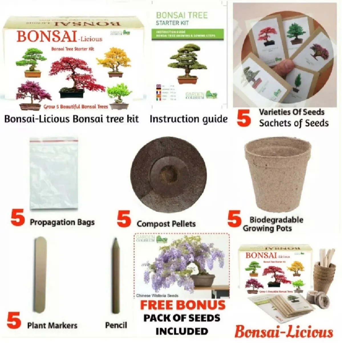 Bonsai Tree Kit Grow 6 Bonsai Trees - Image 2