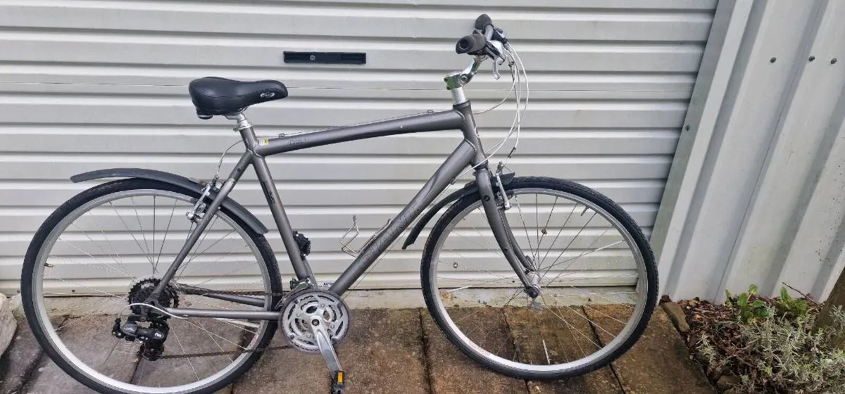 Bicycle giant - Image 2