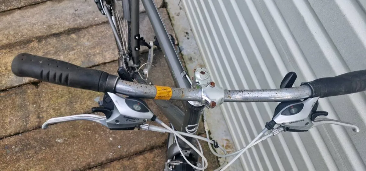 Bicycle giant - Image 4