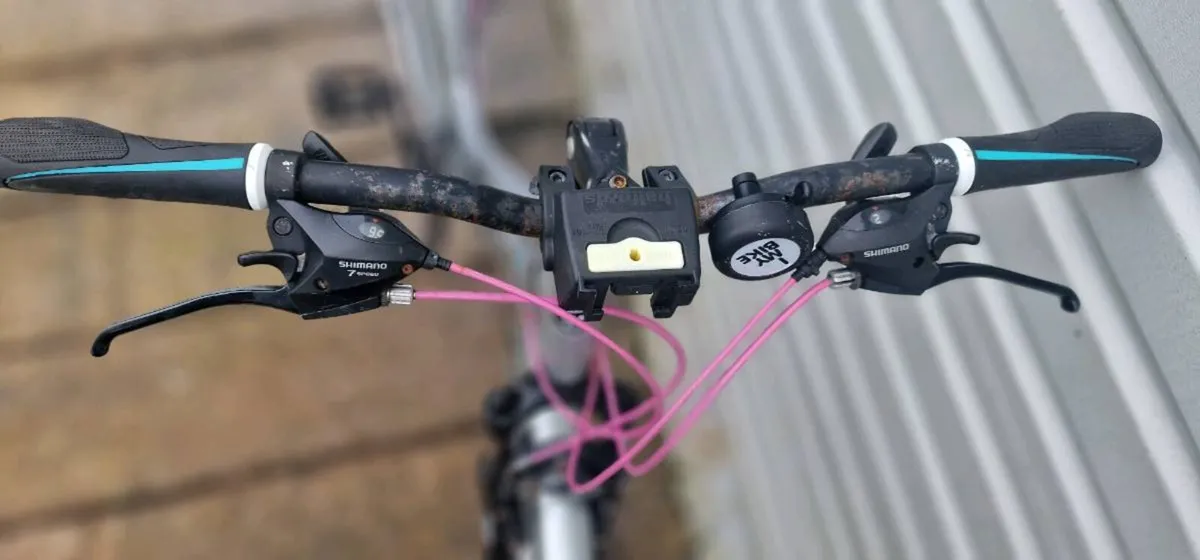 Bicycle land rover - Image 4