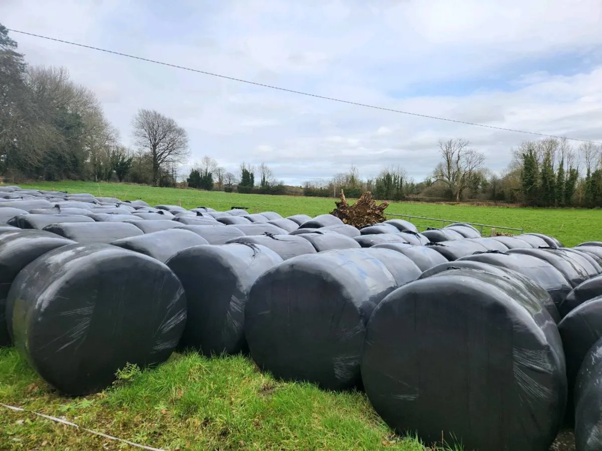 Silage/haylage bales for sale - Image 1