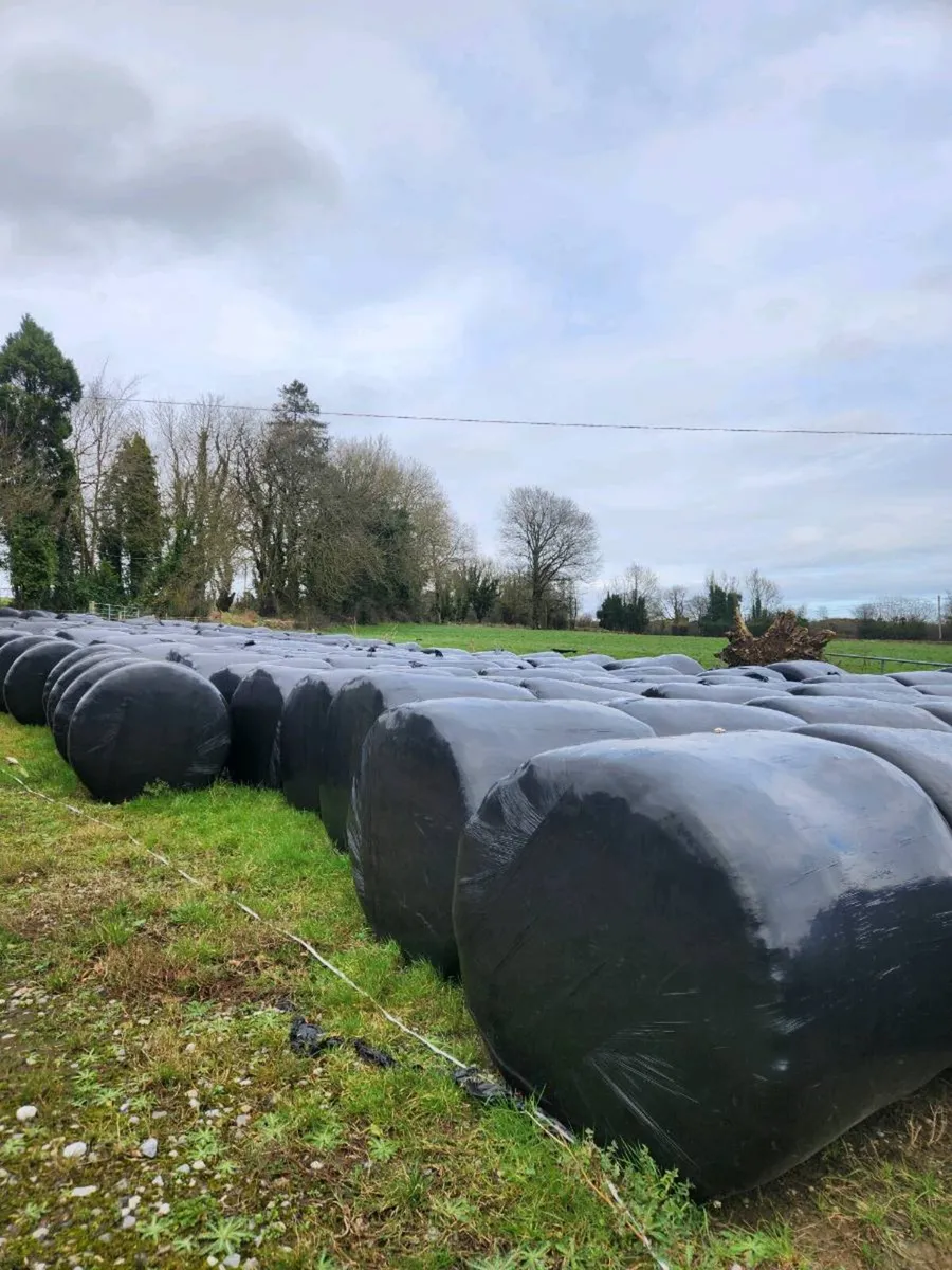 Silage/haylage bales for sale - Image 2
