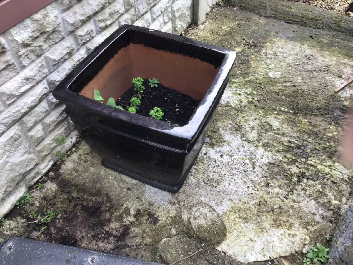 3 Large garden stone glazed black,pots - Image 1