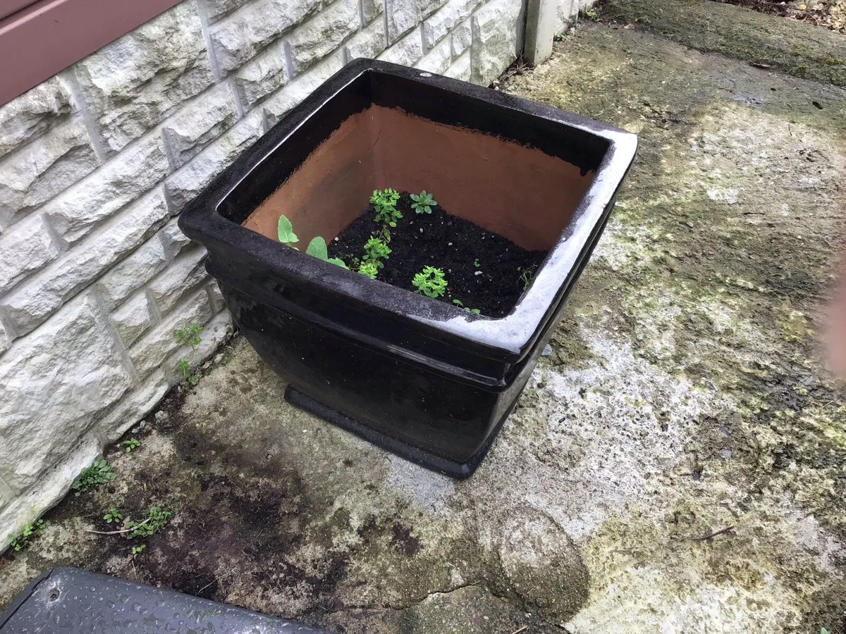 3 Large garden stone glazed black,pots - Image 2