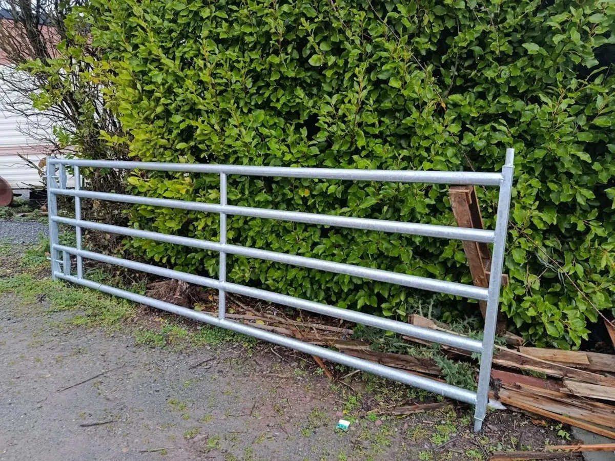 Extendable Galvanised Gate - Image 2