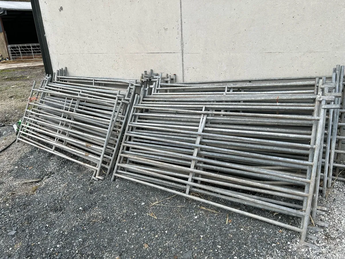 Sheep Hurdles - Image 1