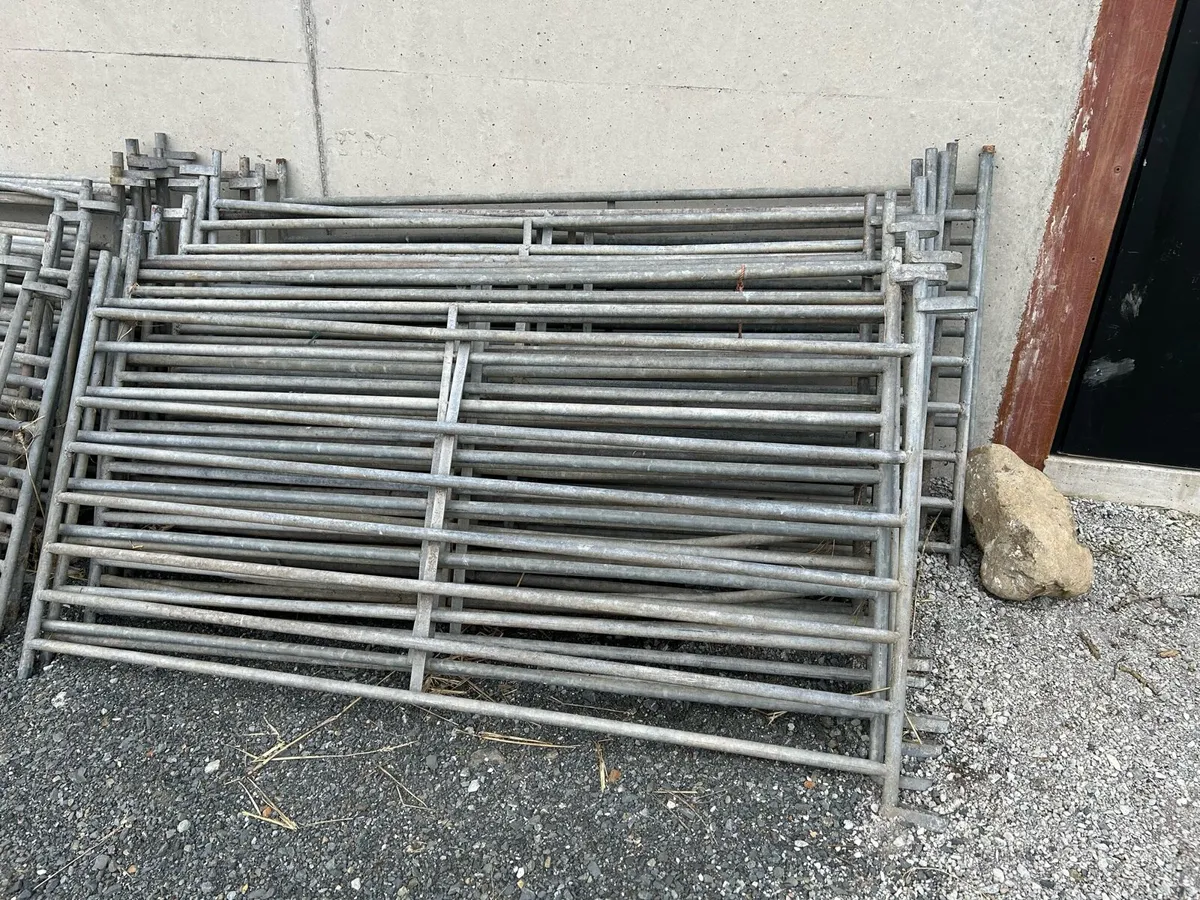 Sheep Hurdles - Image 2