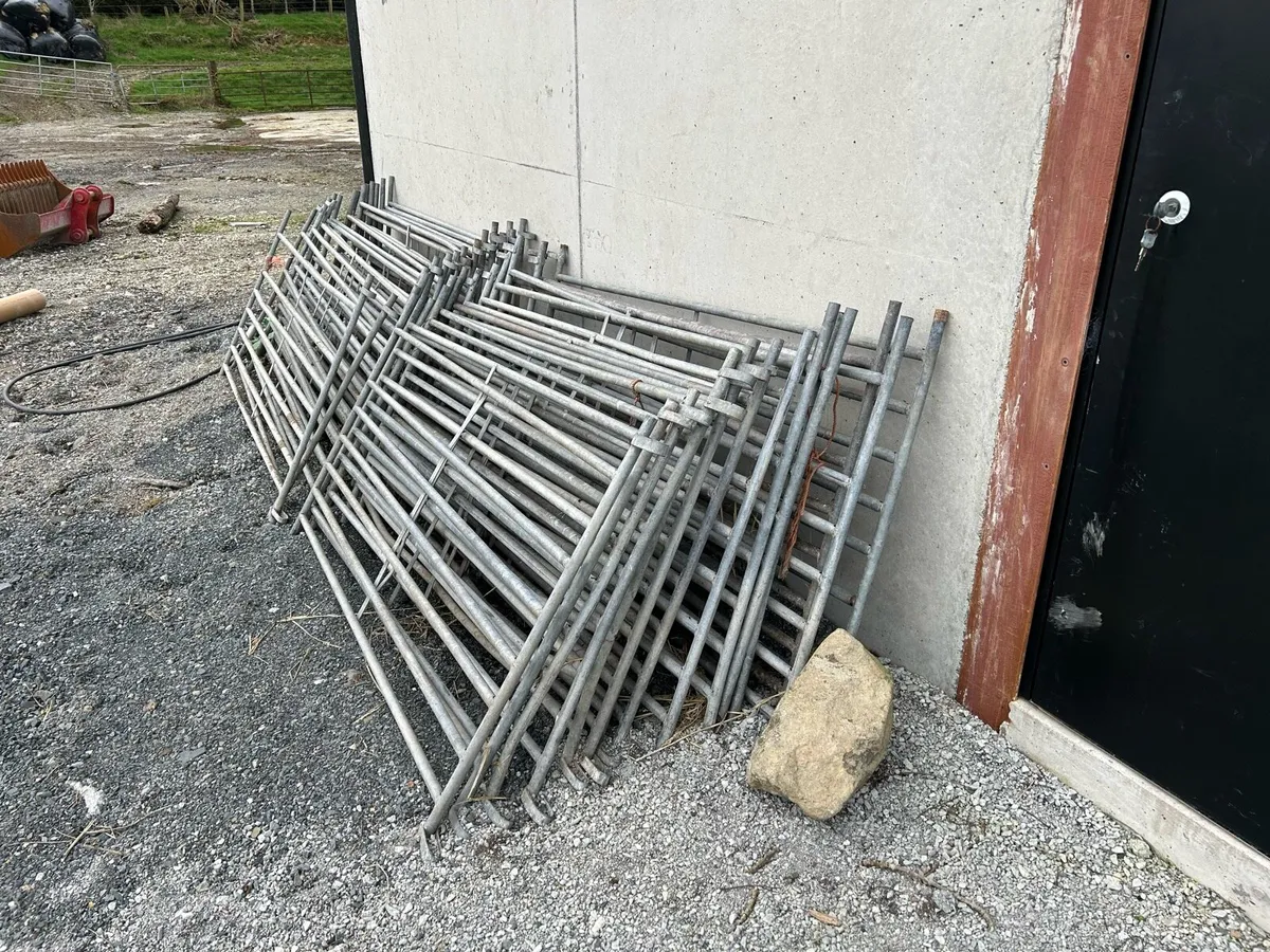 Sheep Hurdles - Image 3