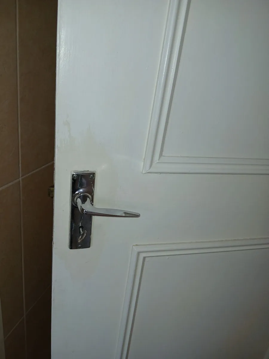 Doors - free to take - Image 4