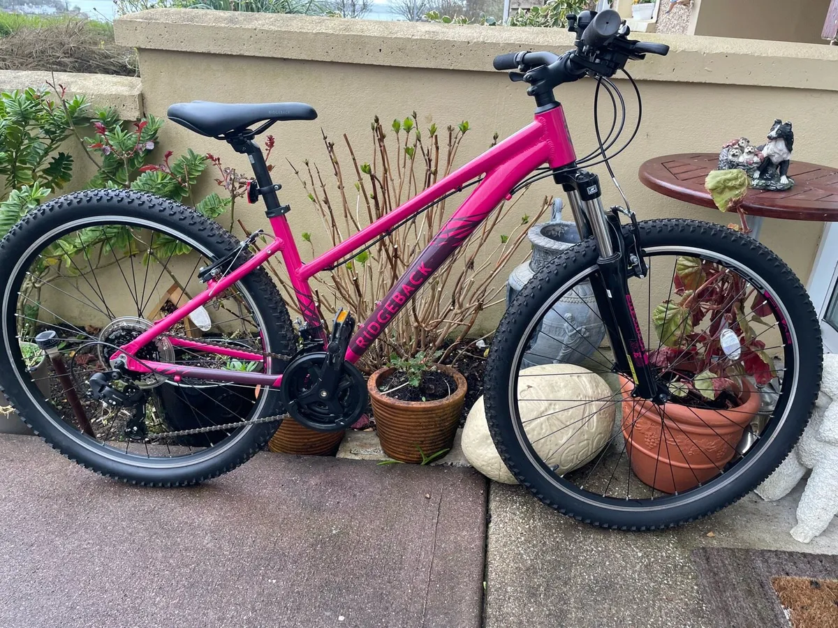 Ridgeback Two Mountain Bike 27,5 inch wheels - Image 1