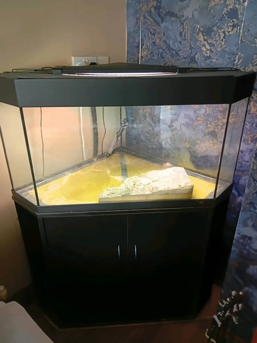 Fish tank and base - Image 1