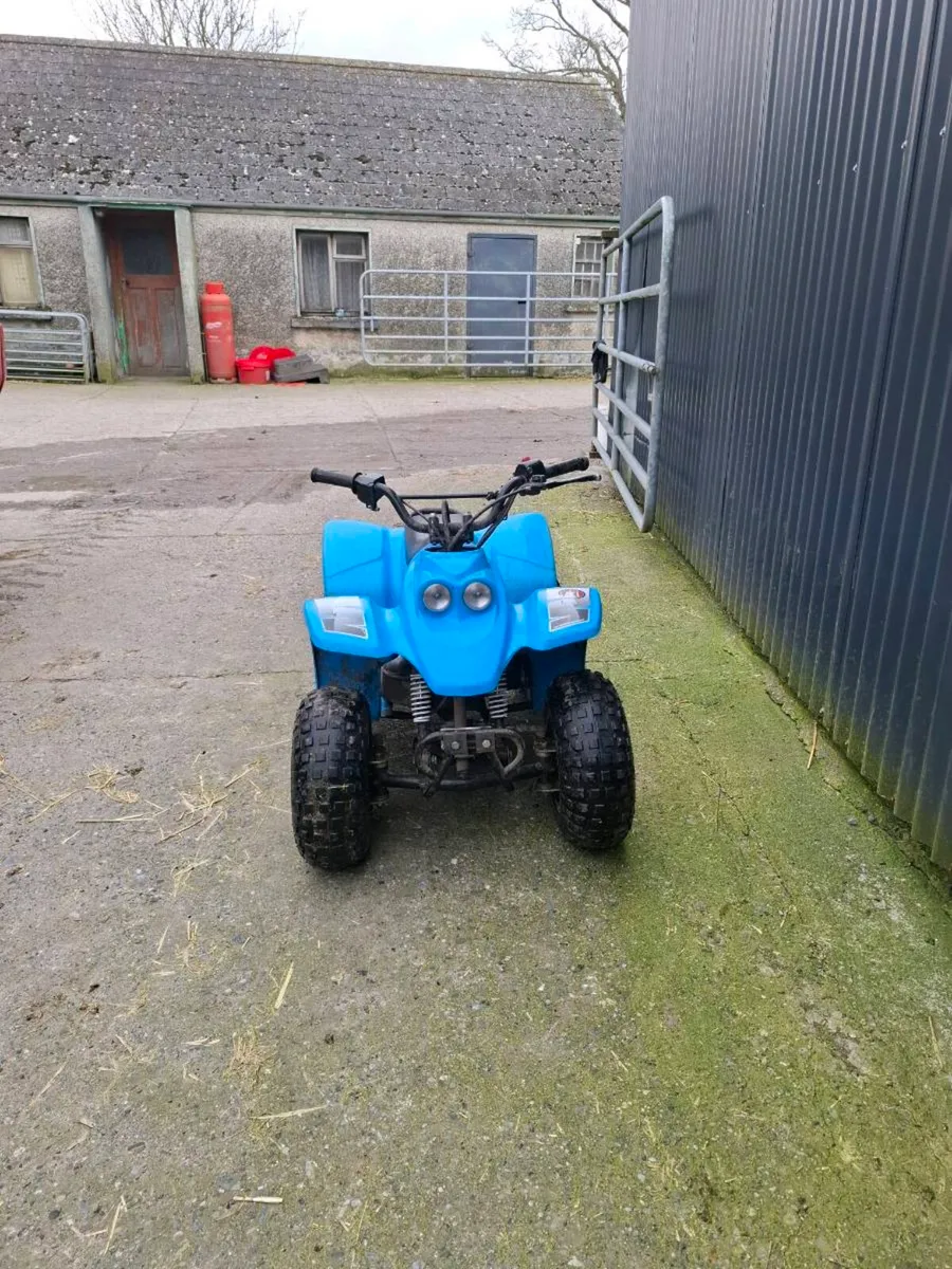 Quadzilla quad - Image 1