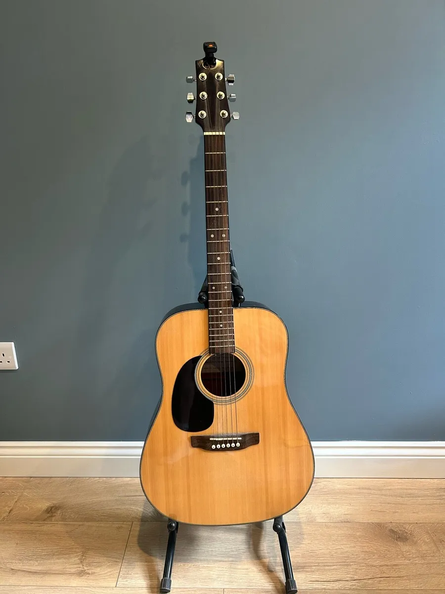 Left hand guitar + stand