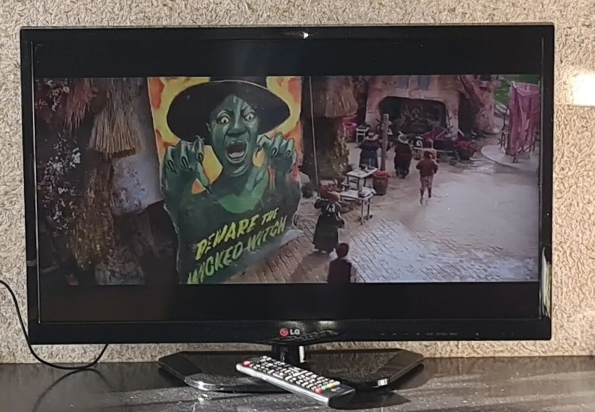 LG 29" LED TV / Monitor - Image 3