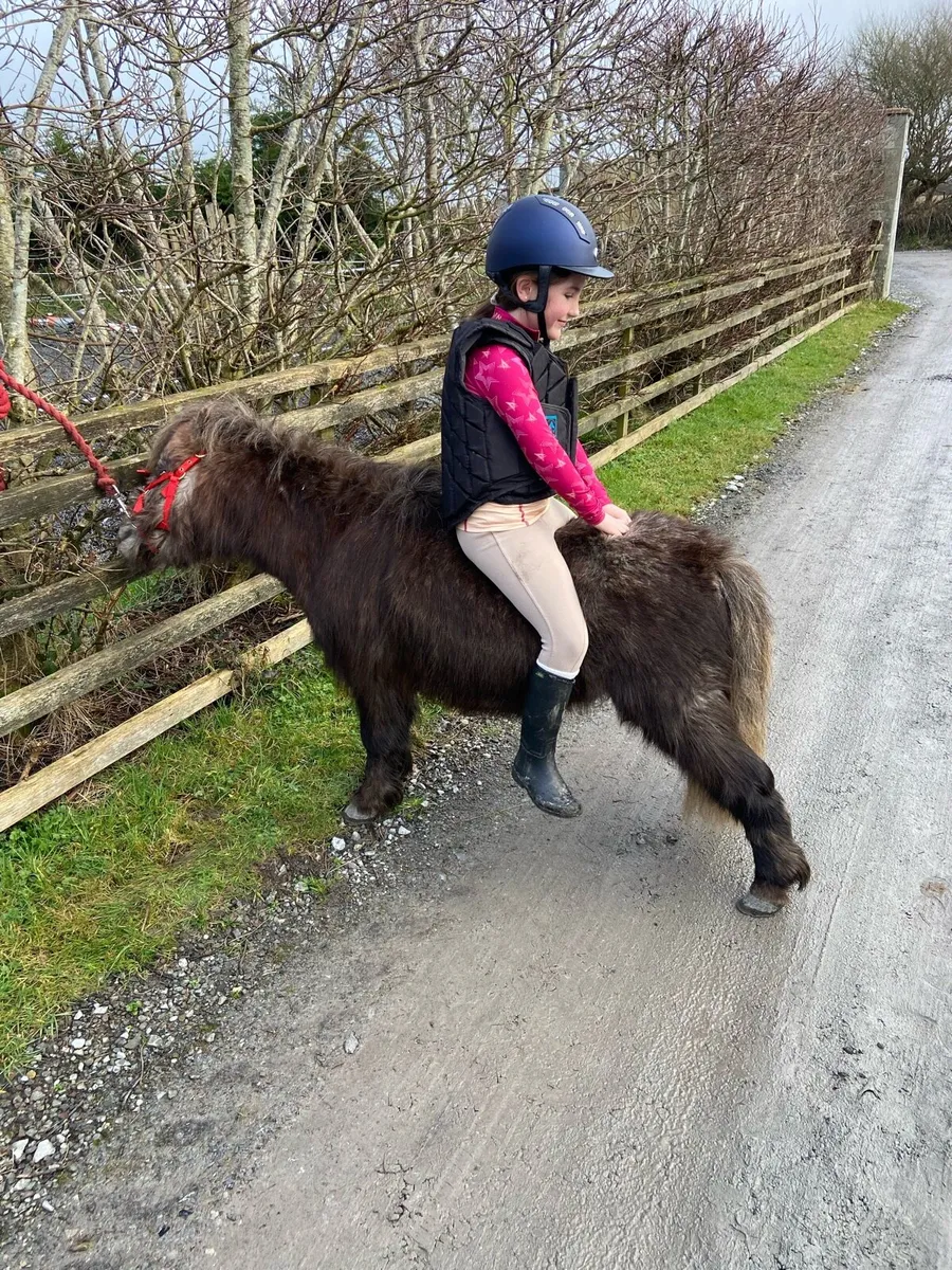 QUIET KIDS PONY €1250 - Image 3