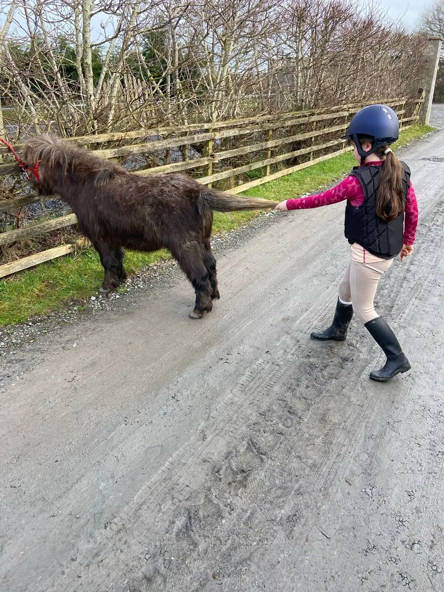 QUIET KIDS PONY €1250 - Image 4