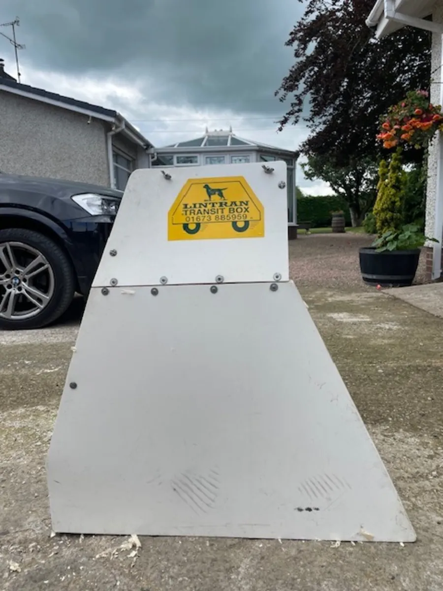 Dog Transit Box Lintran - Image 2