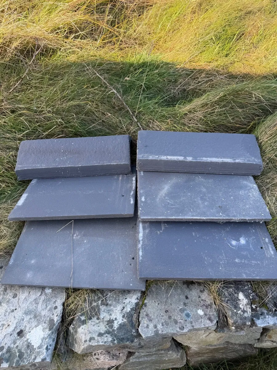 Roof tiles - salvage 100+ - Image 2