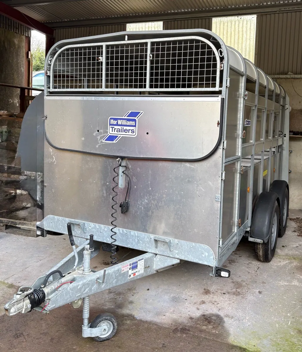 Ifor Williams 12ft Cattle Trailer – As New - Image 3