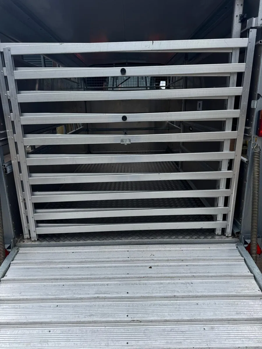 Ifor Williams 12ft Cattle Trailer – As New - Image 4