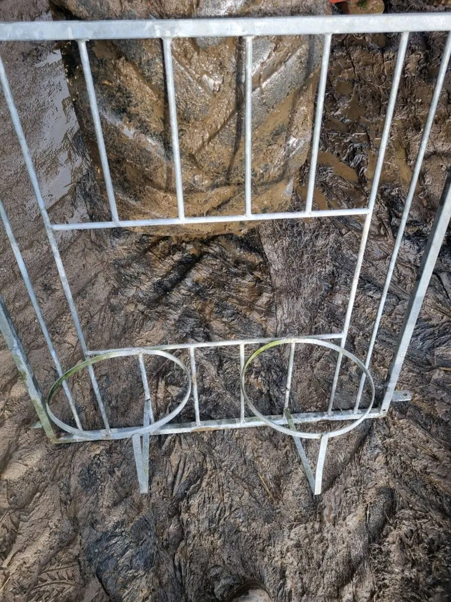 Calf feed gates - Image 2