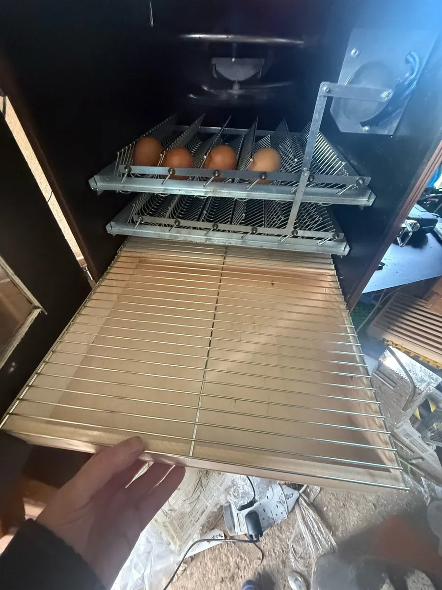 Ms type 1 incubator - Image 1