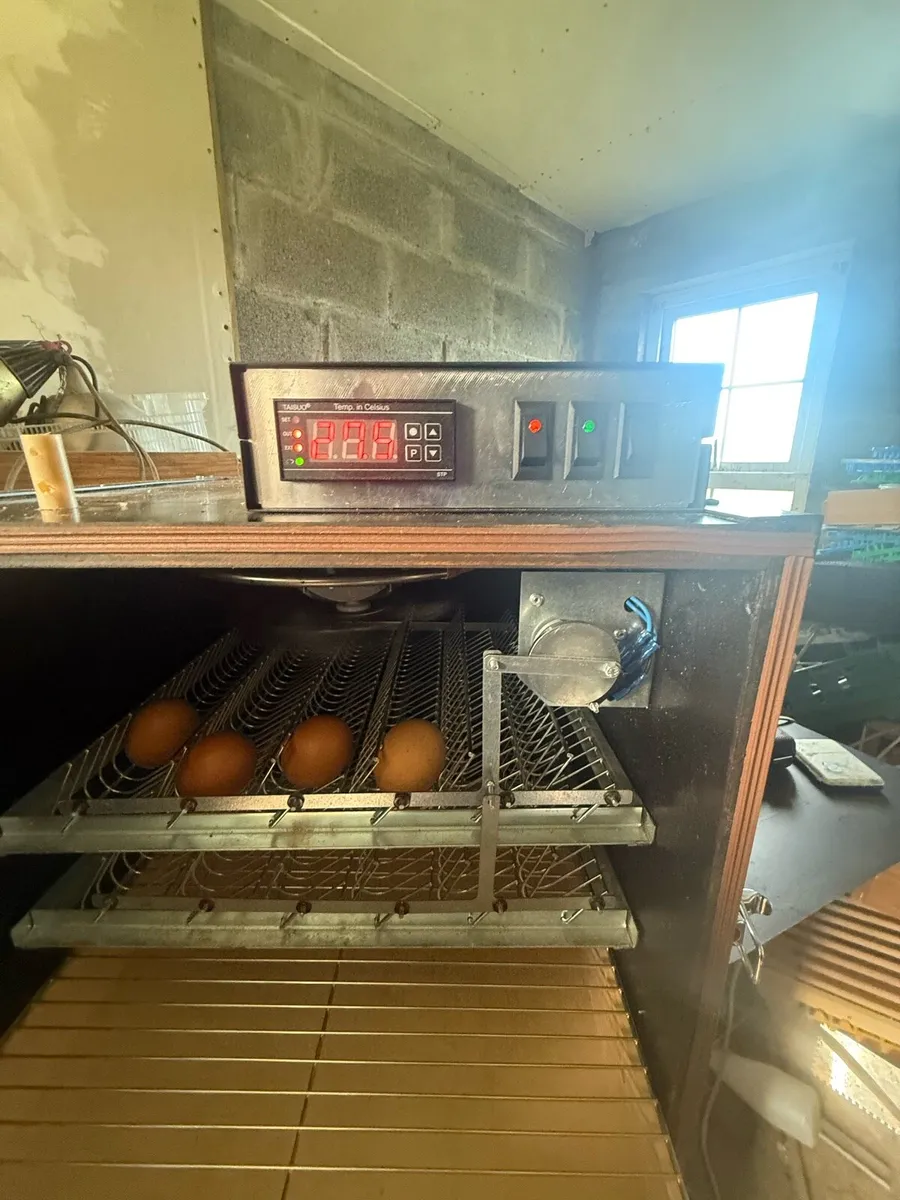 Ms type 1 incubator - Image 4