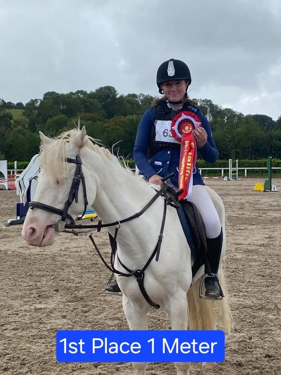 138 Cromello show jumping pony - Image 1