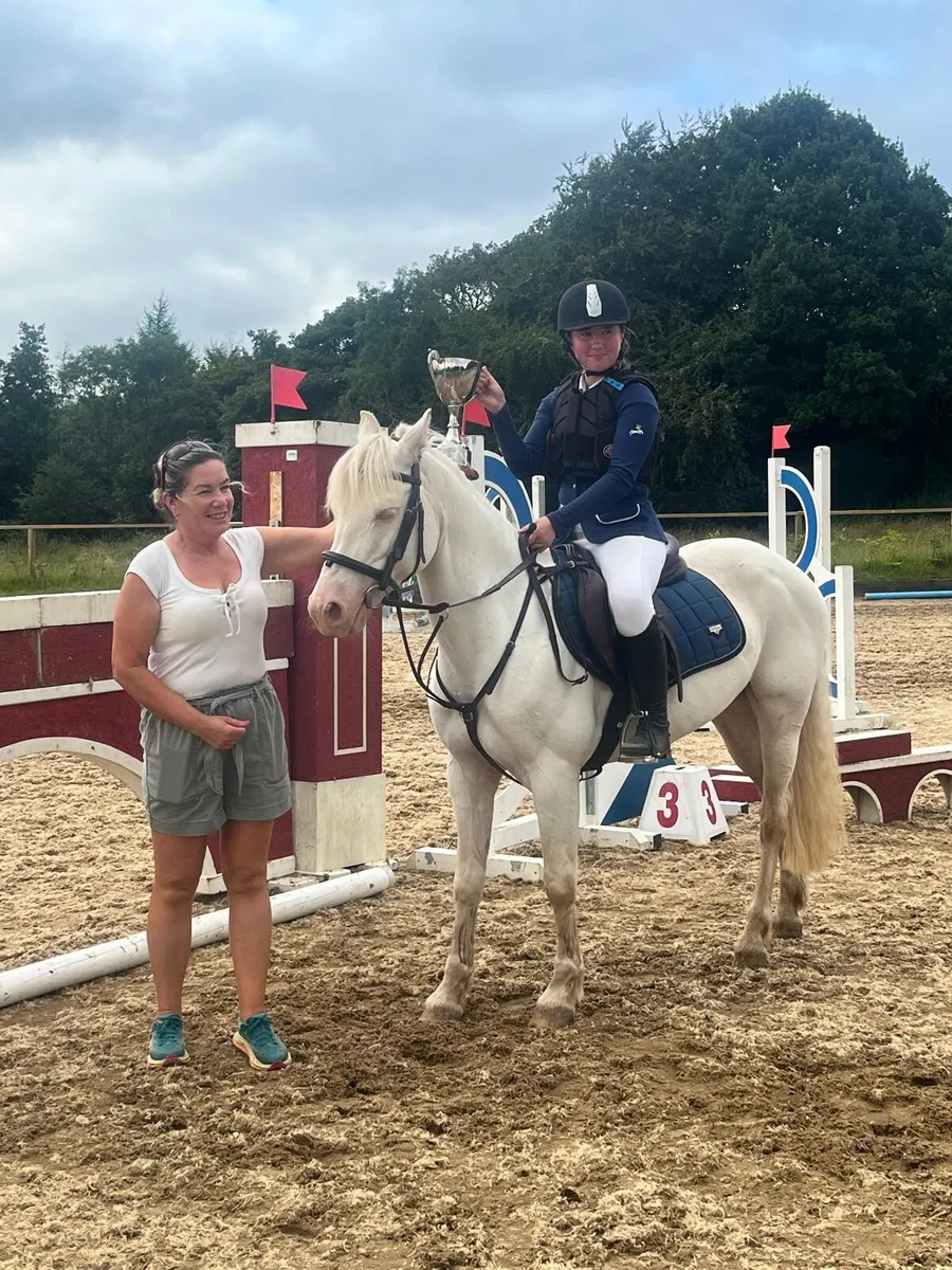 138 Cromello show jumping pony - Image 3