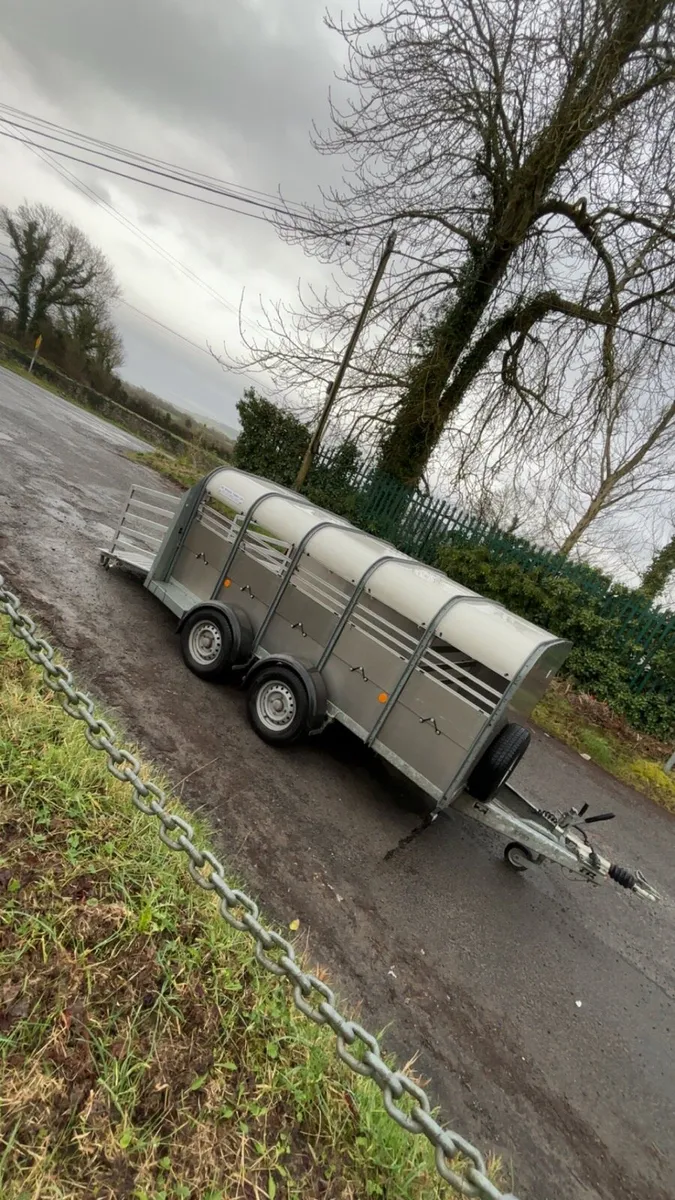 Ifor Williams sheep trailer - Image 1