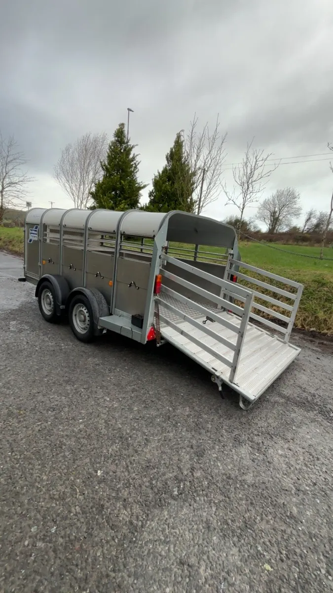 Ifor Williams sheep trailer - Image 2