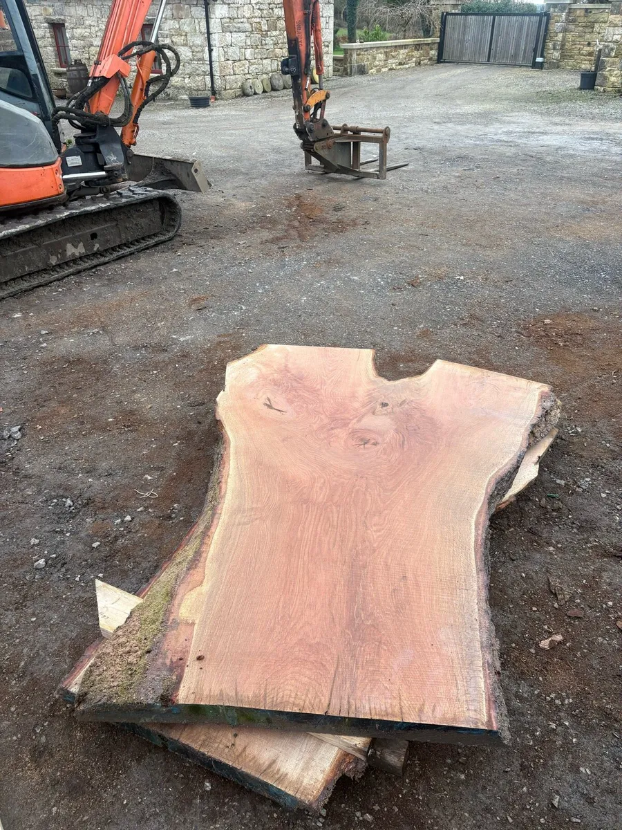 Large oak slabs - Image 4
