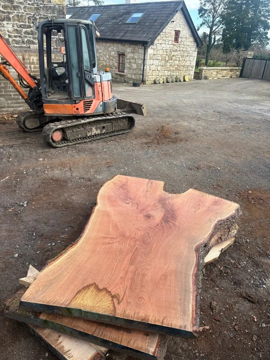 Large oak slabs - Image 1
