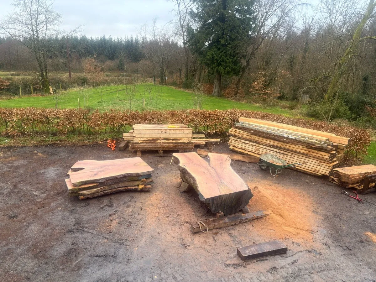 Large oak slabs - Image 2