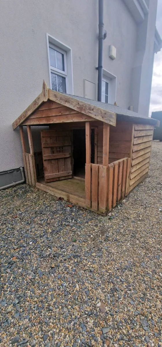 Large dog box - Image 1