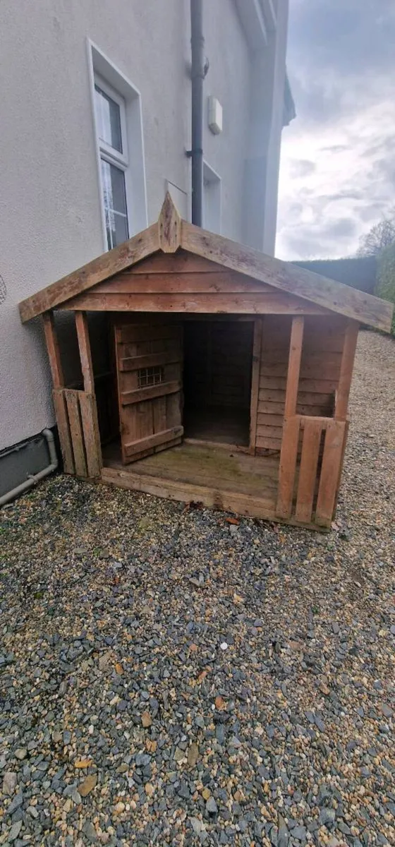 Large dog box - Image 2