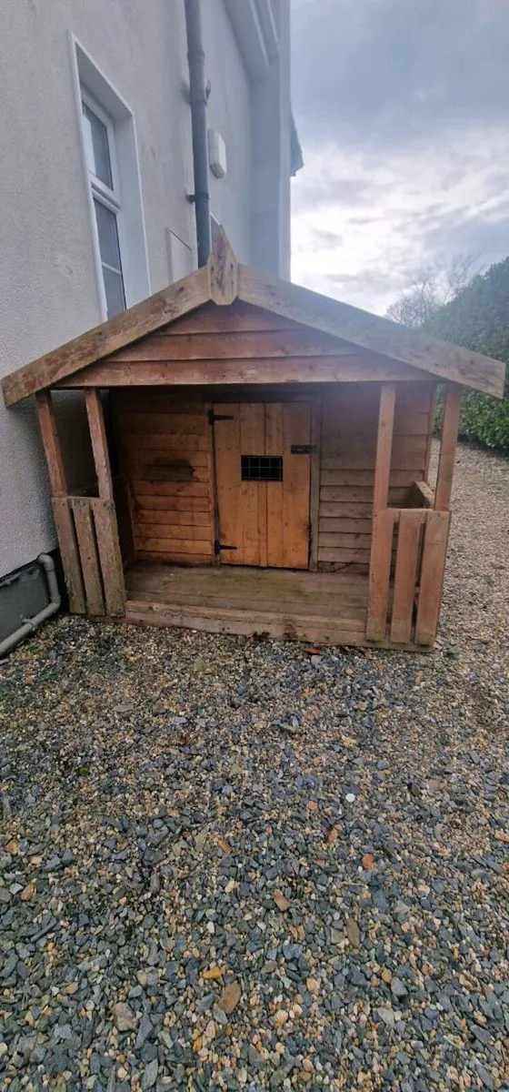 Large dog box - Image 4