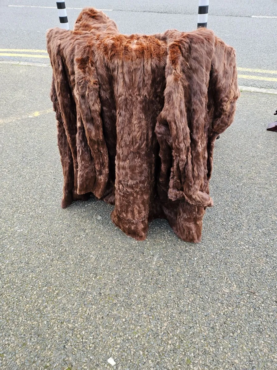 Vintage Fur Coat - Image 1