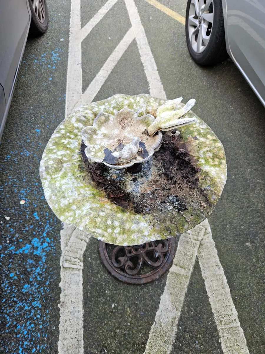 Weathered Bird Bath - Image 2