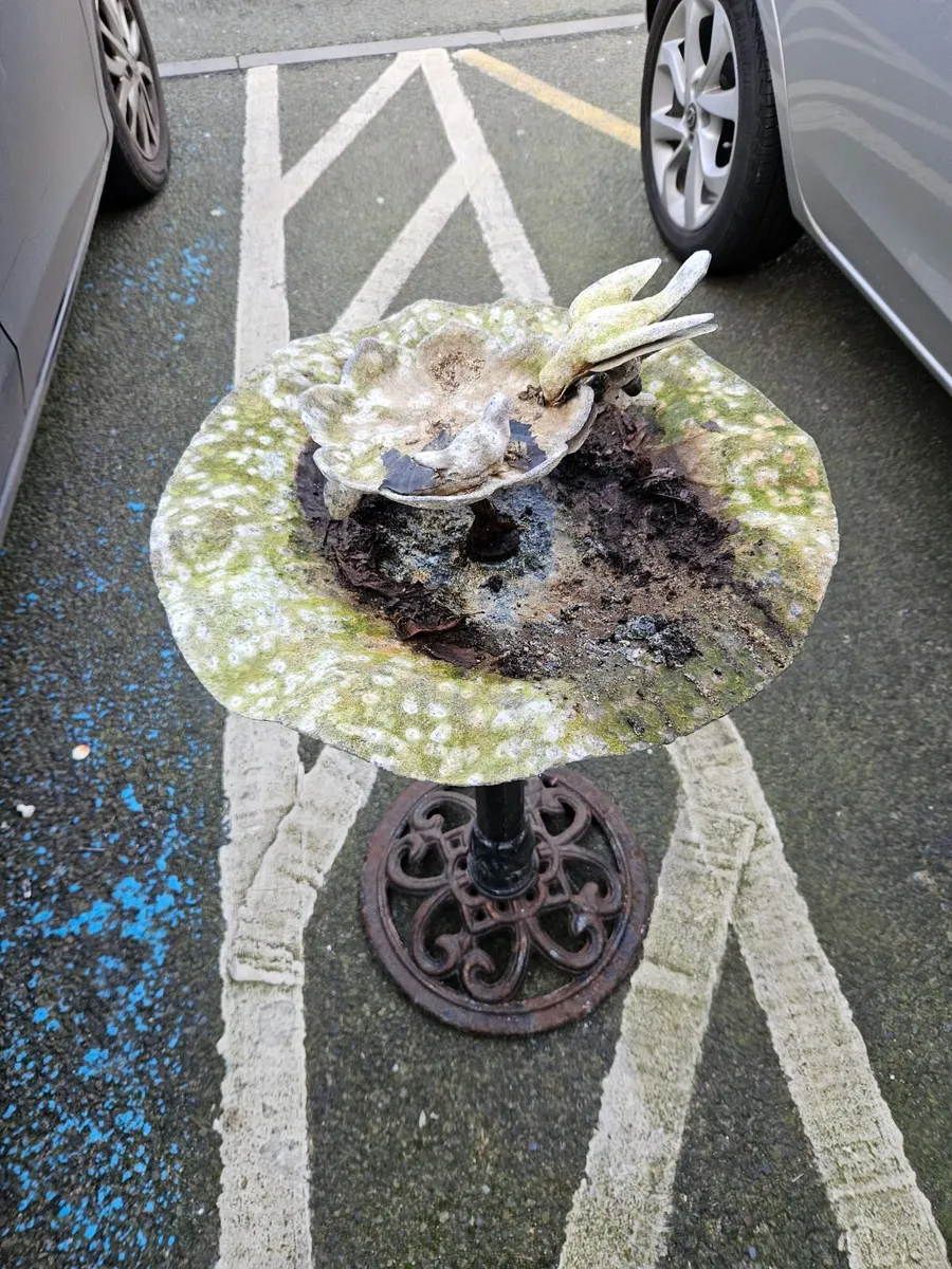 Weathered Bird Bath - Image 3