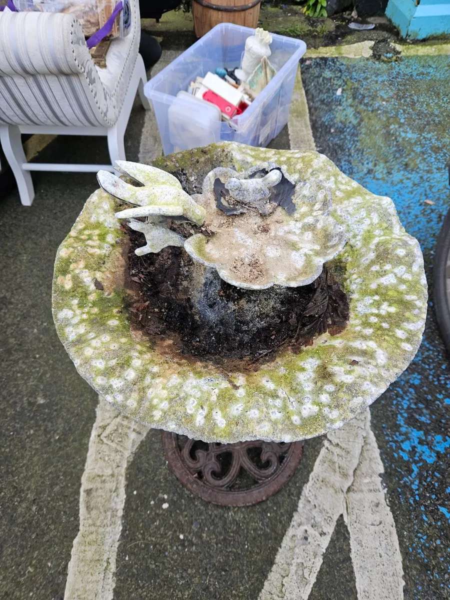 Weathered Bird Bath - Image 4