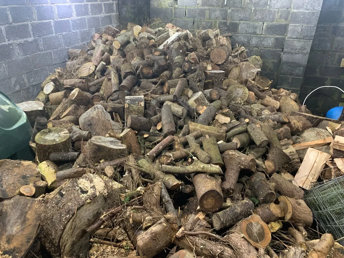 Firewood - Image 1