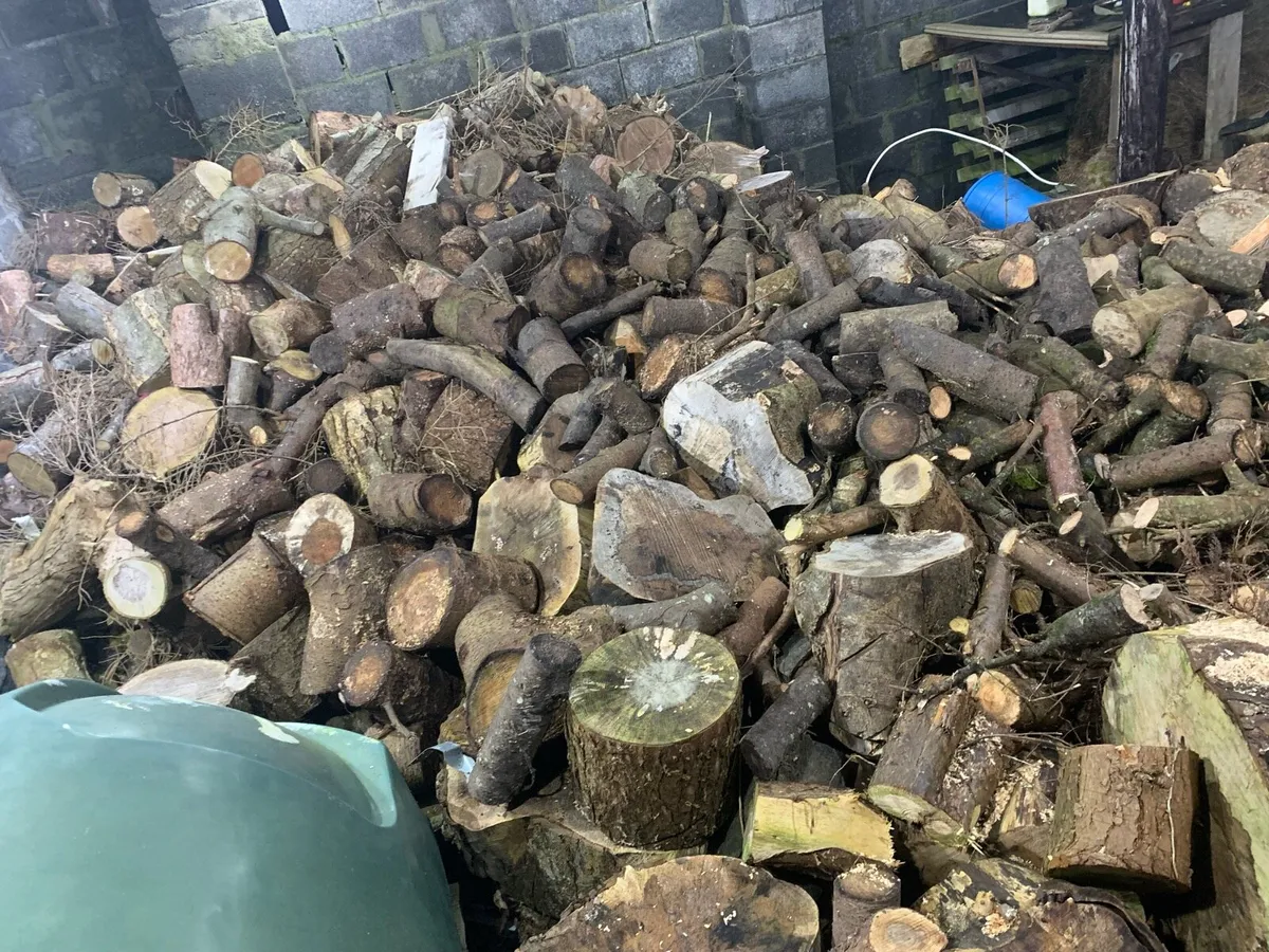 Firewood - Image 2