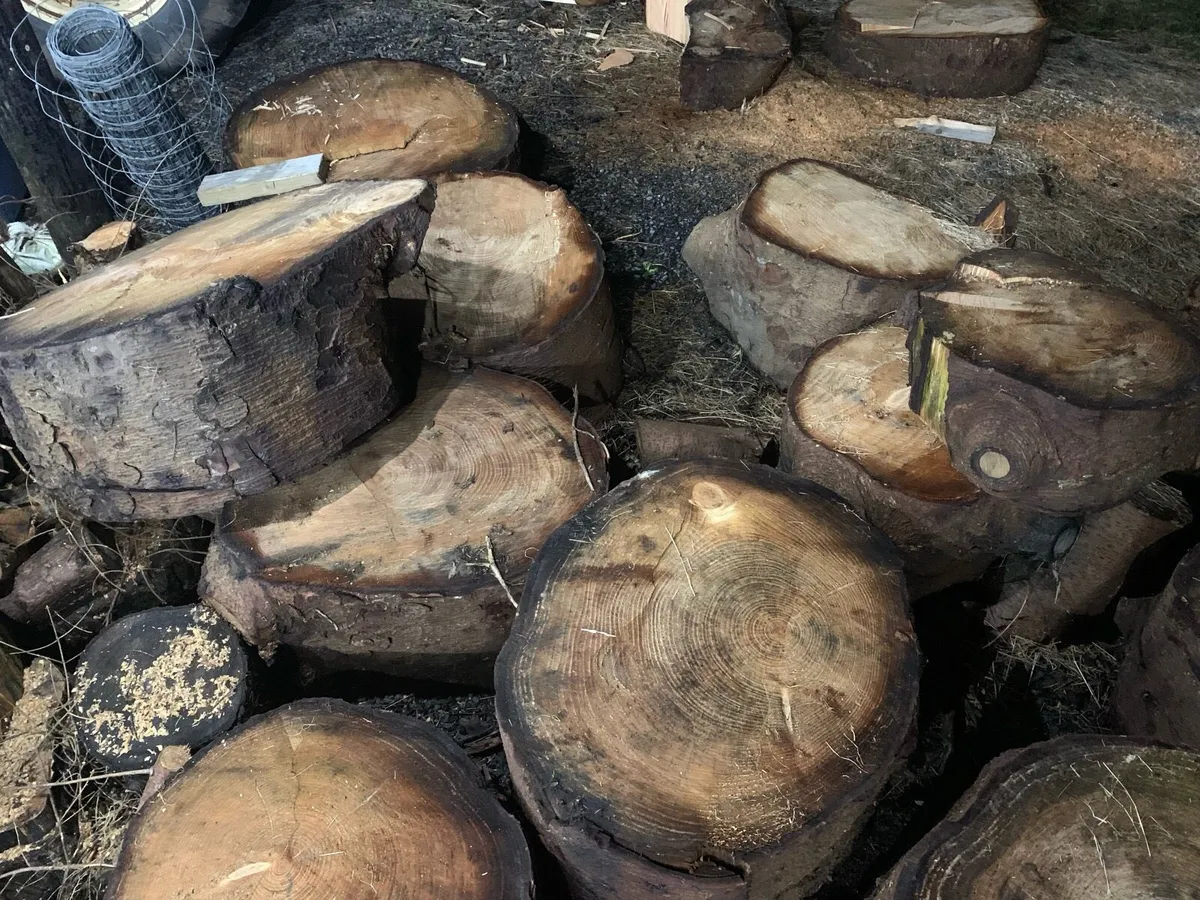Firewood - Image 3