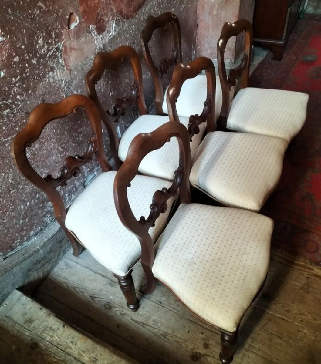 Set of 6 Victorian mahogany Dining Chairs - Image 3